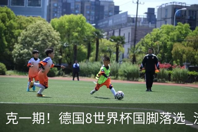 克一期！德国8世界杯国脚落选 渣叔：把这面旗赢回来